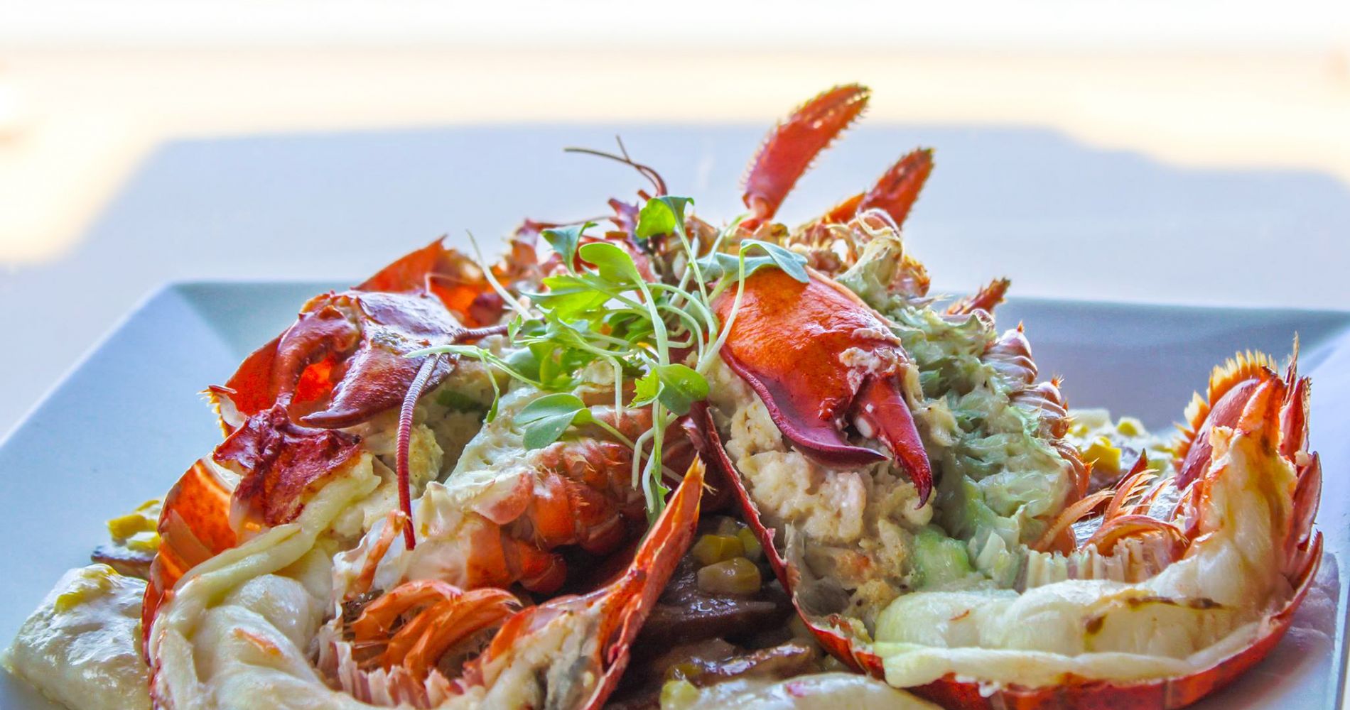 split lobster tails and claws on a plate