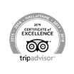 2019 trip advisor logo