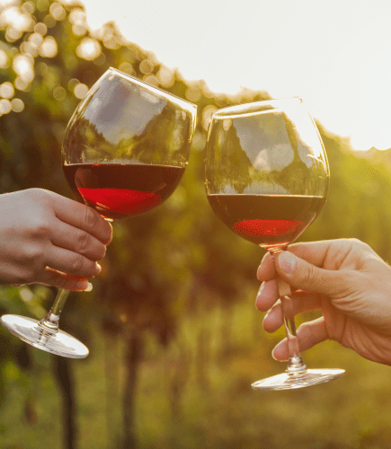 Wine