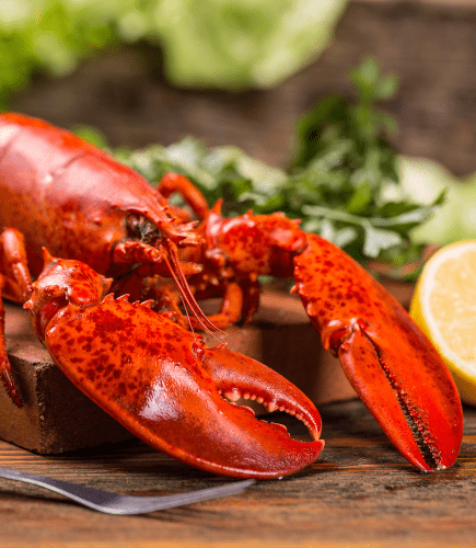 Lobster
