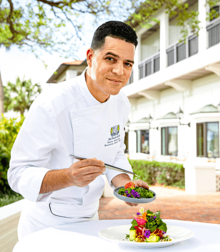 PVR Chef CU VERT