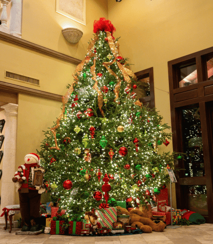 Christmas Tree at Lodge