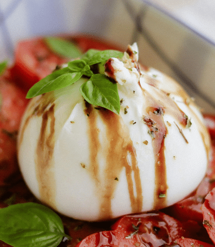 Italian Cuisine 