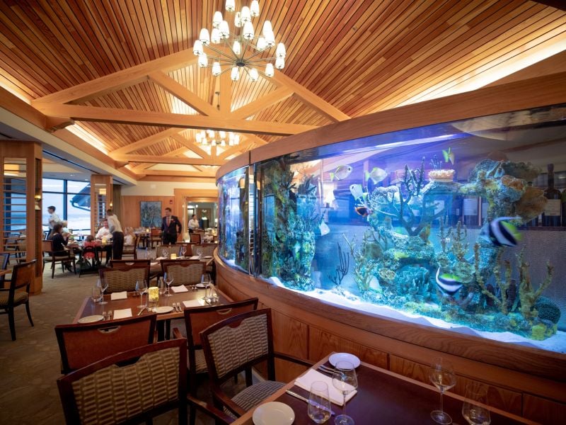 aquarium in the seahorse grille