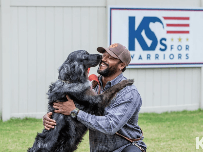 K9 for Warriors