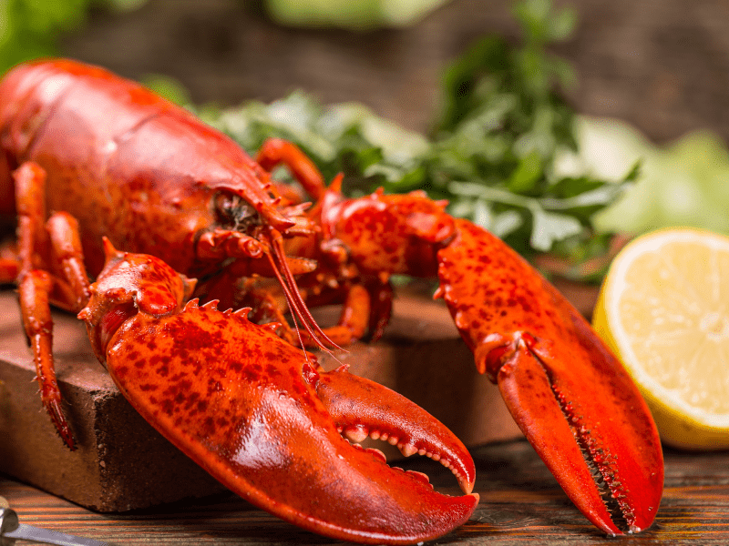Lobster