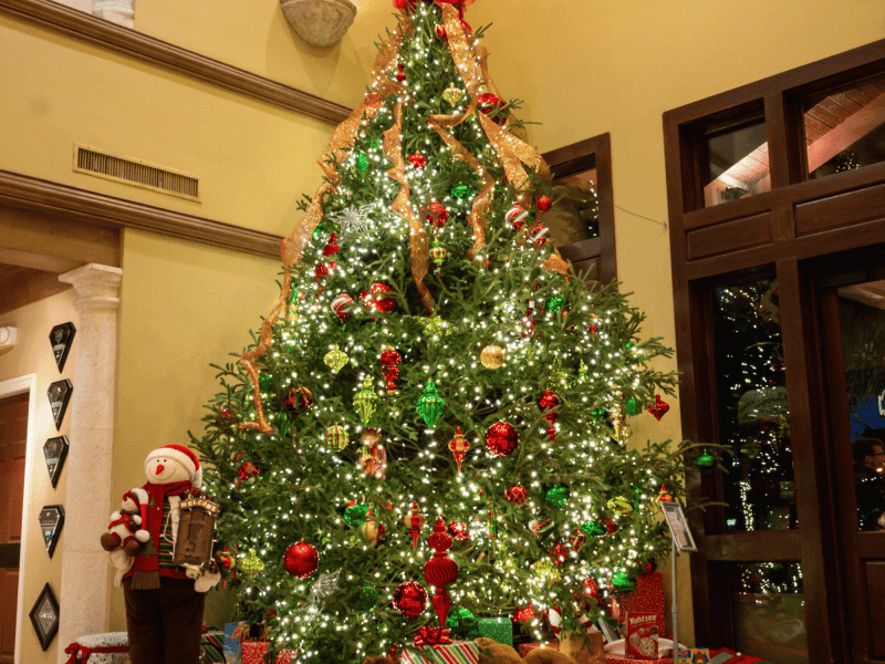 Christmas Tree at Lodge