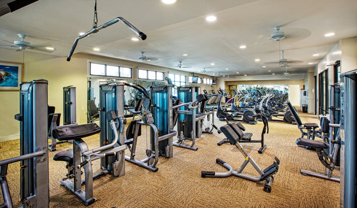 PVR Gym A