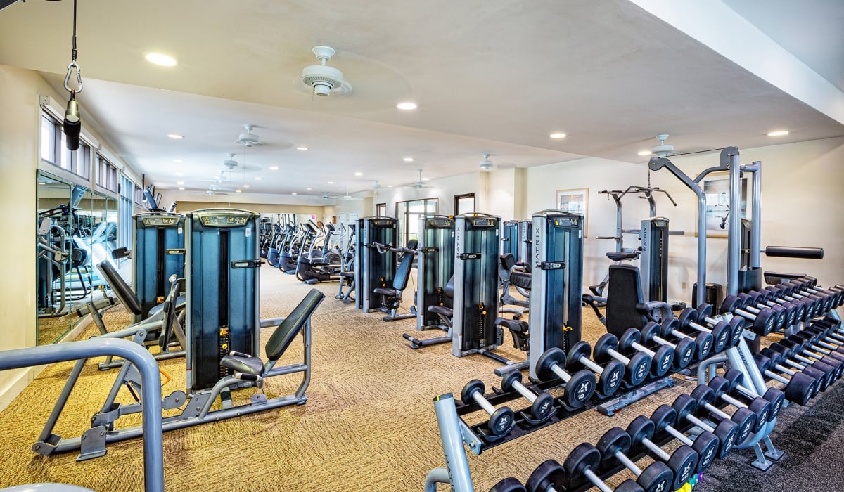 PVR Gym C