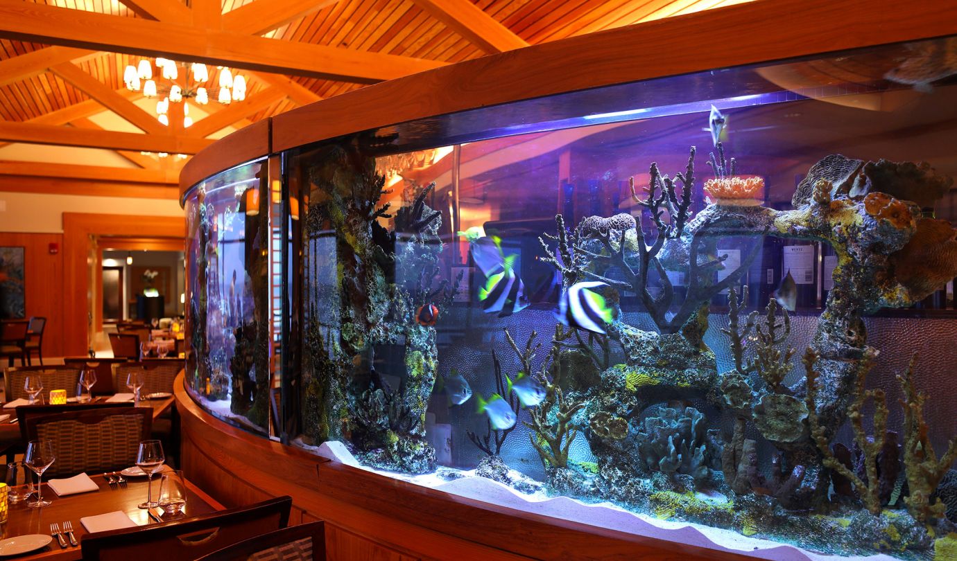 Large aquarium inside the Seahorse Grille