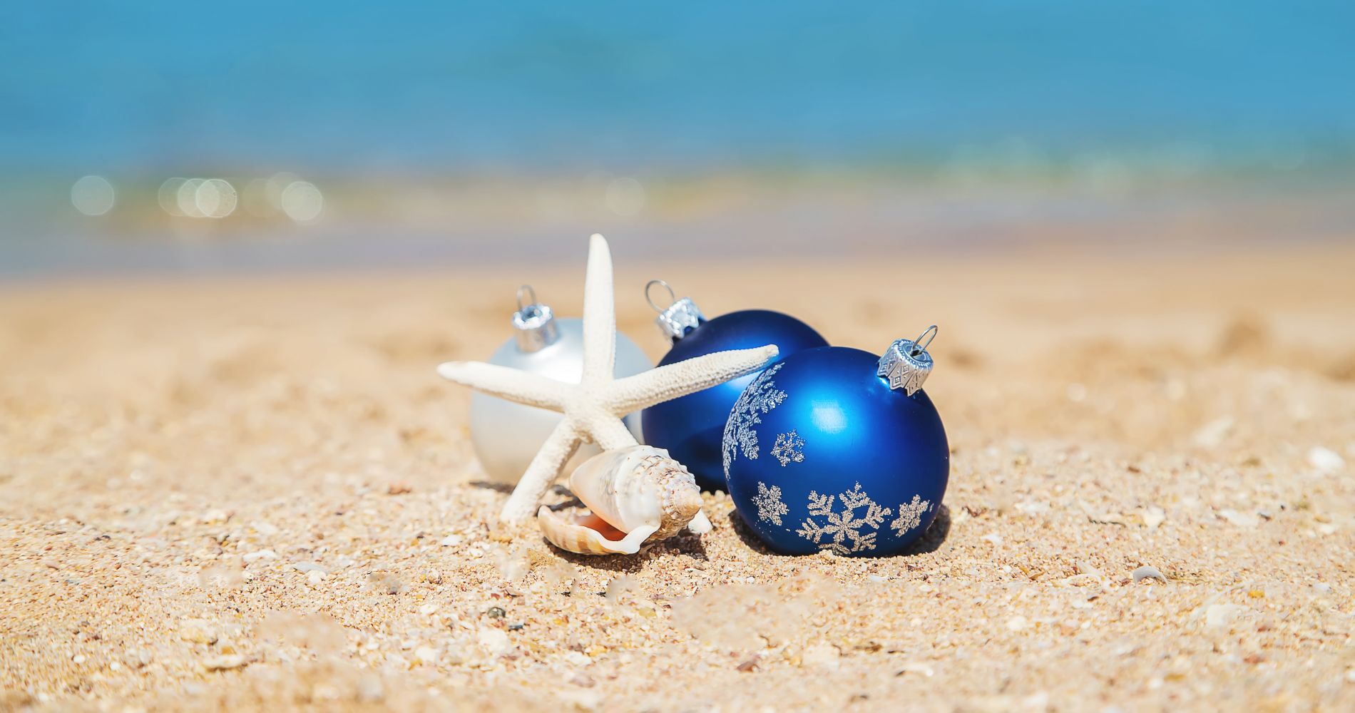Beach Ornaments Black Friday Hero 