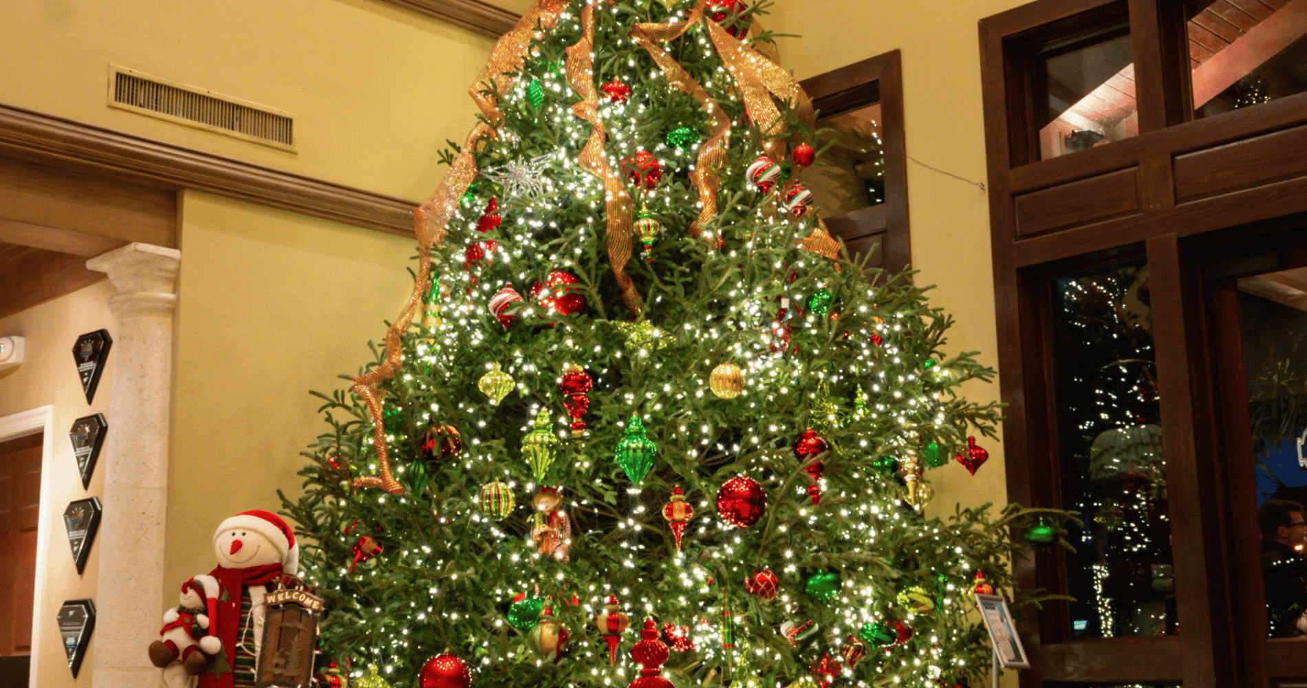 Christmas Tree at Lodge