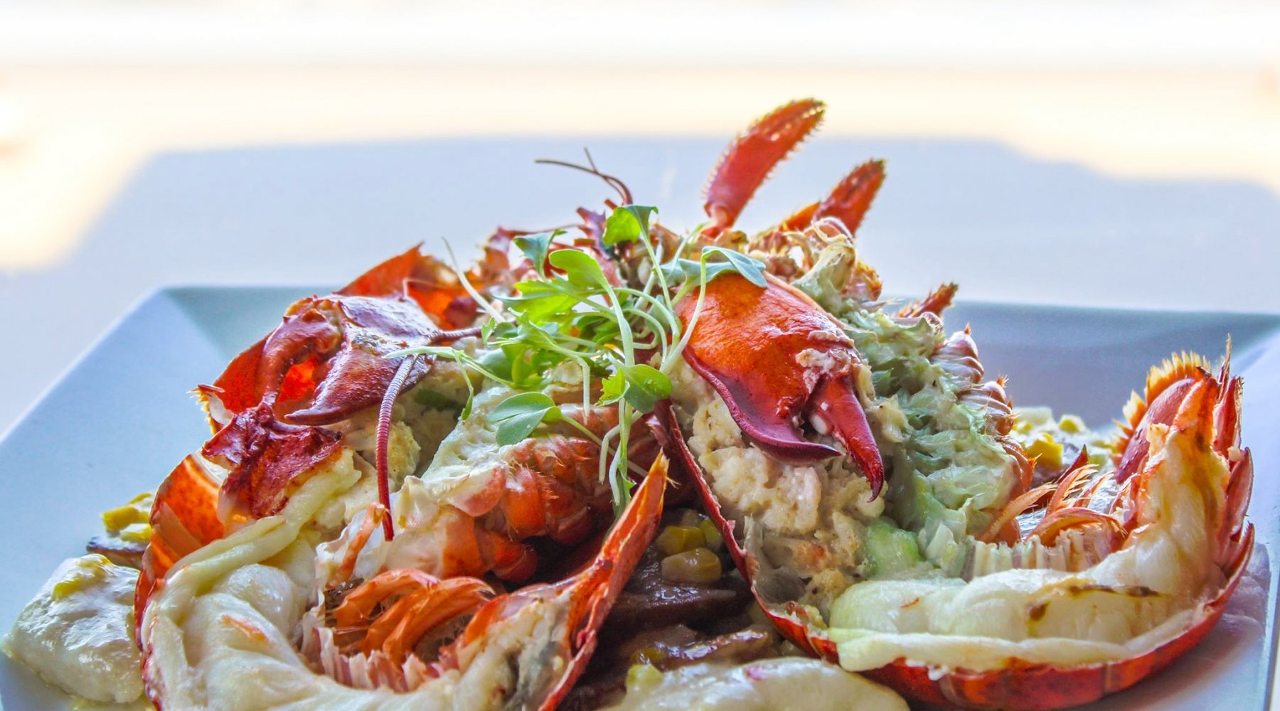 split lobster tails and claws on a plate