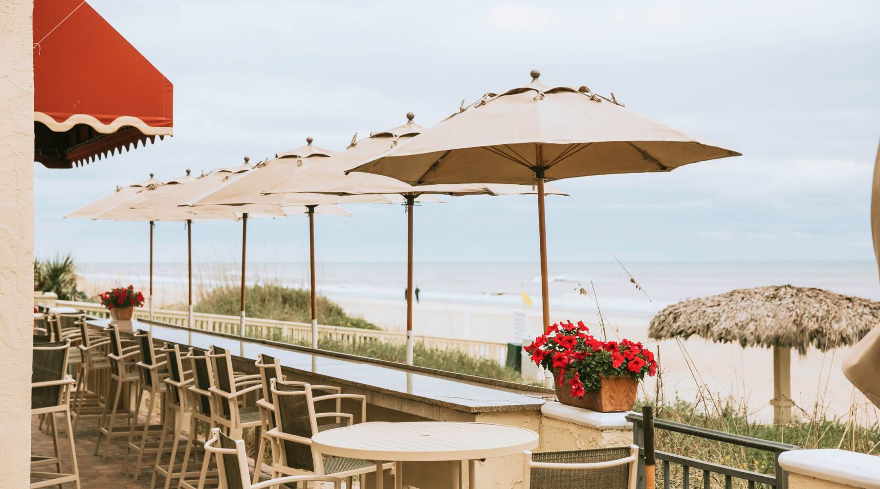 The Lodge and Club Oasis